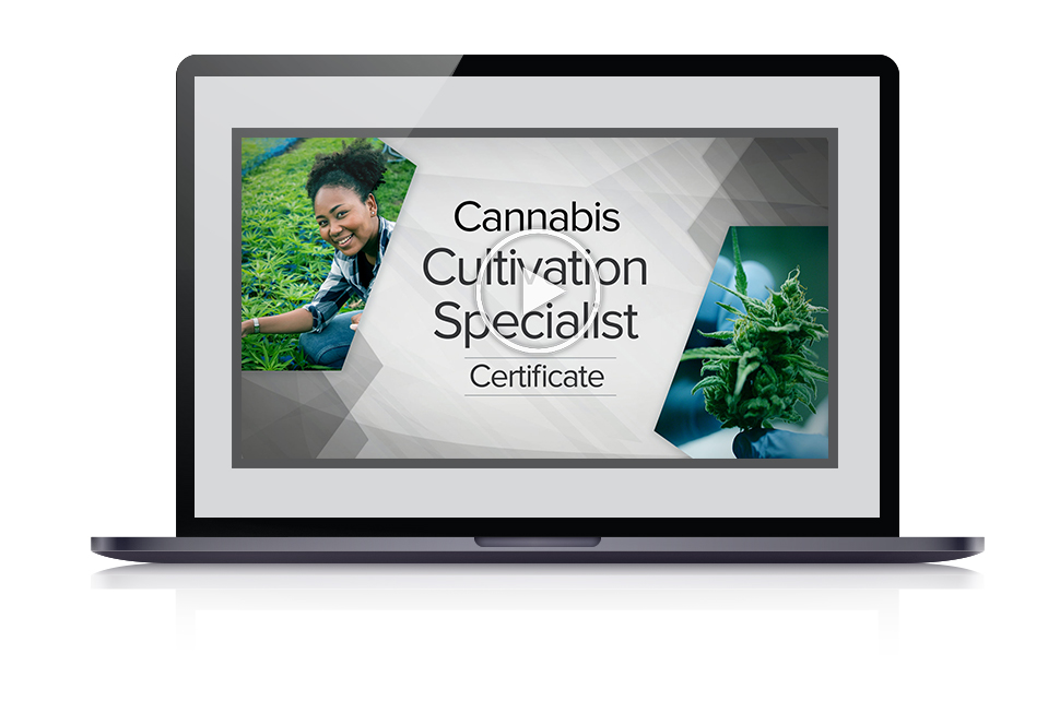 Cultivation webinar on laptop